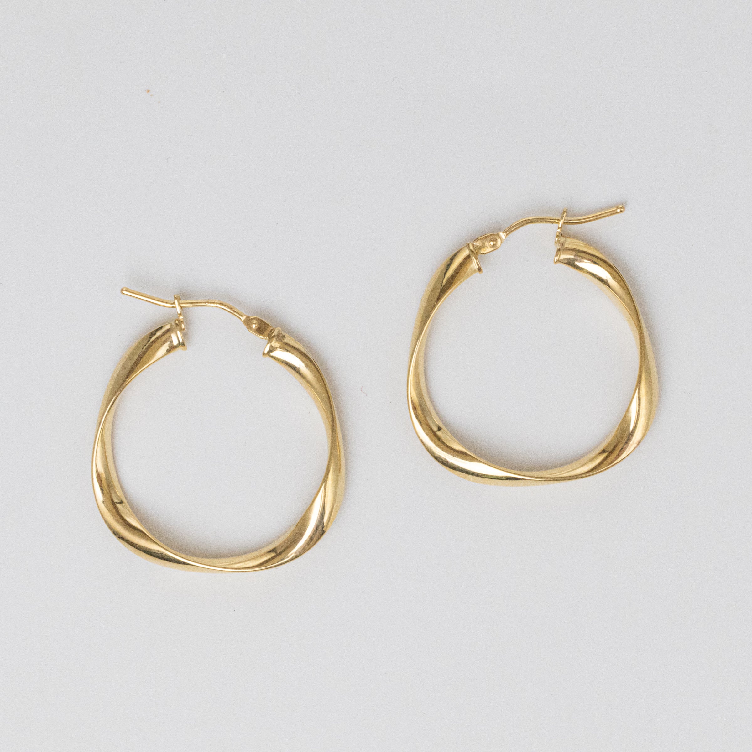 Sculpted Hoop Earrings